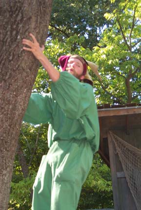 And Clings to a Tree