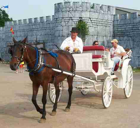 Carraige Ride