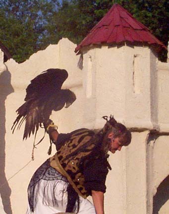 Shot of the Falconers