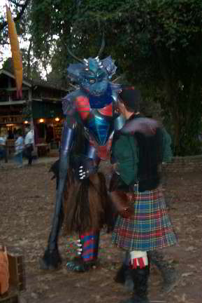 Nice Dragon Garb
