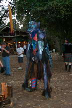 Nice Dragon Garb
