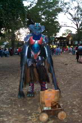 Nice Dragon Garb