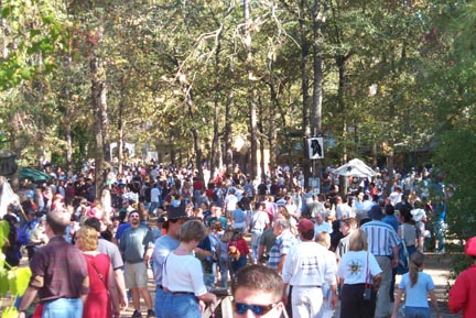 Looking into Sherwood Forest - wall to wall people
