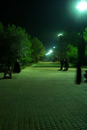As TRF '99 passes into history, we exit the village gates returning to our homes and our mundane existances ... but the memories and the friendships remain